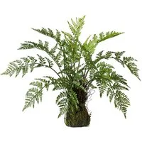 Kunstpflanze Farn, Creativ green, Höhe 50 cm