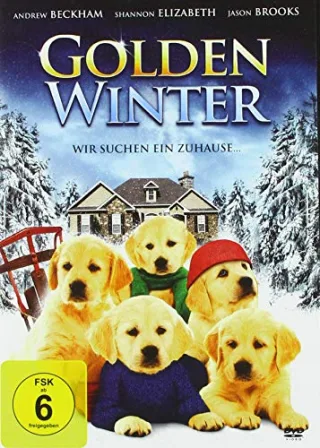 Golden Winter - Wir suchen ein Zuhause (DVD)