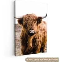 OneMillionCanvasses® Leinwandbild Schottische Highlander - Landschaft - Kuh - Braun - Tiere - Natur, Fotodruck (1 St), Leinwand Canvas Wandbild, Wanddekoration 20x30 cm