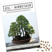 HappySeed Blumensamen Außergewöhnliche Bonsai Samen mit hoher Keimrate - Berg Mammutbaum, Bonsaifähig