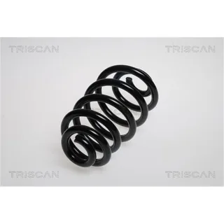 Triscan Feder hinten Audi A4 Seat Exeo 875029181