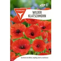 FRANKONIA Blumensamen Wilder Klatschmohn - Mohn-Samen Saatgut Samen, Papaver rhoeas