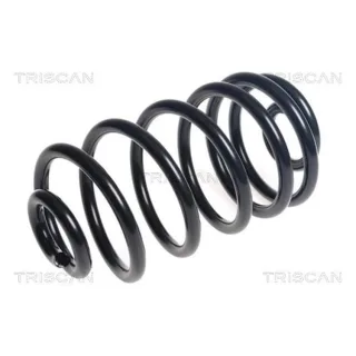 Triscan Feder hinten Mercedes Citan 875023221