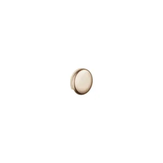 Dornbracht Rohrunterbrecher SERIENNEUTRAL 36150970 Champagne gebürstet (22kt Gold) 36150970-46