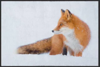 Fussmatte Fuchs 6086 | Größe: 60 cm x 45 cm