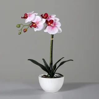 40 cm
