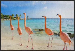 Fussmatte Flamingo 4528 | Größe: 60 cm x 45 cm