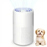 ChaneeHann Luftreiniger Allergiker mit Aktivkohlefilter USB Tragbar HEPA Filter 5W Geräuscharm, für 20 m² Räume, Für Tierhaare & Gerüche Für Zuhause Auto Büro