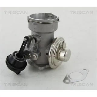 Triscan AGR-Ventil Audi Ford Seat Skoda VW 881316023