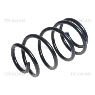 Triscan Feder vorne Renault Clio 3 2,0