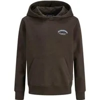 Jack & Jones Junior Sweatshirt JJEBRANDES BACKP RELAXED SWEAT H SN JNR