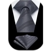 LuxusKollektion Krawatte Krawatte Herren Streifen Einstecktuch Set Hochzeit Grau-2