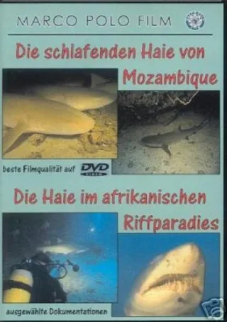 Die schlafenden Haie von Mozambique/Die Haie im afrikanischen Riffparadies