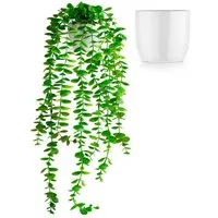 Kunstpflanze Künstliche hängepflanzen im Keramiktopf, Kunstpflanze hängend Efeu, Eukalyptus, Monstera, Zebrapflanze, PASCH