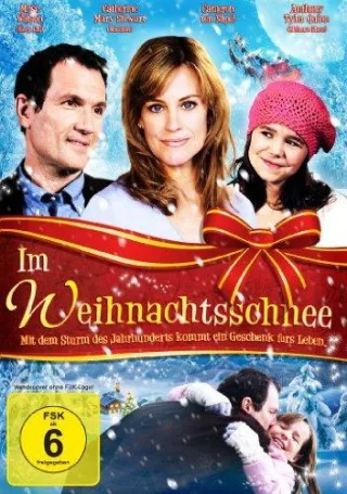 Im Weihnachtsschnee - Mit dem Sturm des Jahrhunderts kommt ein Geschenk fürs Leben [DVD] [2012]