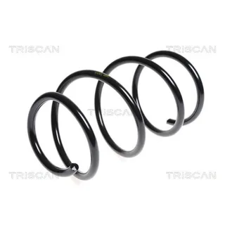 Triscan Feder vorne BMW 3er 5er 875011118
