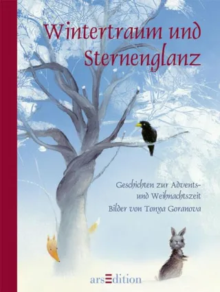 Wintertraum und Sternenglanz: Advents- und Weihnachtsgeschichten