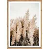 Bönninghoff Bild mit Rahmen Wandbild gerahmt PAMPASGRAS 50x70 cm – Natürliches Gräsermotiv in, Gräser, Natur, Pflanzen, Pflanzenbilder (1 St), mit dekorativem Rahmen