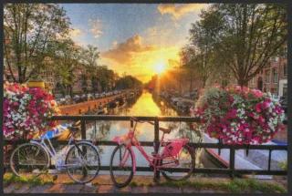 Fussmatte Holland 4476 | Größe: 60 cm x 45 cm