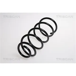 Triscan Feder hinten Fiat Grande Punto 875015104