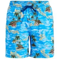 Quiksilver Boardshorts Everyday Straight Volley 17"