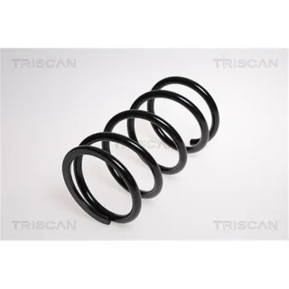 Triscan Feder hinten Toyota Rav 4 2 2,0 875013149