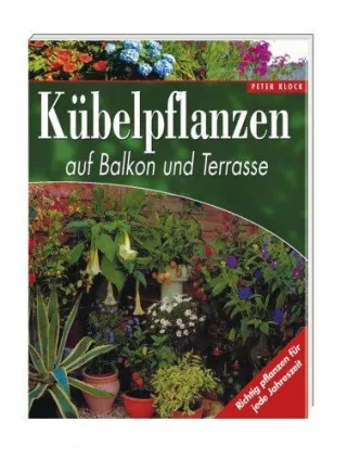 Kübelpflanzen auf Balkon und Terrasse