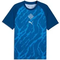 PUMA Trainingsshirt Island Aufwärmtrikot Herren