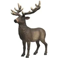 Schleich® Spielfigur WILD LIFE, Amerikanischer Rothirsch (14992)