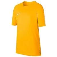 Nike T-Shirt Nike Performance Polyester