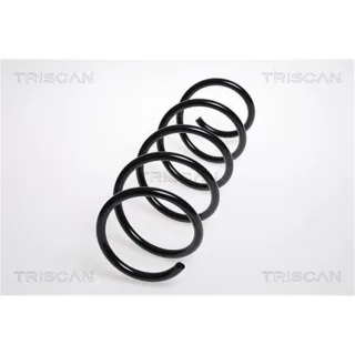 Triscan Feder vorne Opel Corsa D 875024133