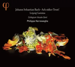 Bach: Leipziger Kantaten BWV 25/138/105/46 [Audio CD] Hana Blazikova (Sopran) Damien Guillon (Alt) Thomas Hobbs (Tenor) Peter Kooij (Bass) Collegium Vocale Gent Johann Sebastian Bach Philippe Herreweghe