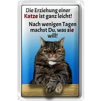 Roomando Metallschild Spruch 12x18cm die Erziehung einer Katze leicht