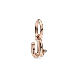 Pandora Charm Moments 782479C01