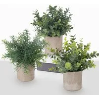 Künstliche Zimmerpflanze Mini Kunstpflanzen im Topf – Künstliche Zimmerpflanzen Deko, ElitVita, Höhe 19 cm, ElitVita Kunstpflanzen 3er Set mit Topf – Mini Deko Pflanzen