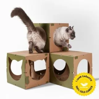 DoPetMe Katzenhaus The Kitten Castle