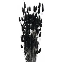 Trockenblume Lagurus Hasenschwanzgras Schwarz Dekoration Getrocknet 60cm 50g, Viana