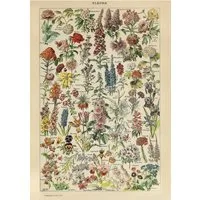 Piatnik Puzzle Fleurs, Millot, Puzzleteile
