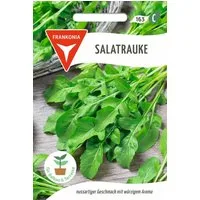 FRANKONIA Gemüsesamen Salatrauke, Rucola - Saatgut Salat-Samen Samen, Eruca sativa