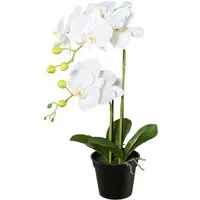 Kunstpflanze Orchidee, Creativ green, Höhe 55 cm