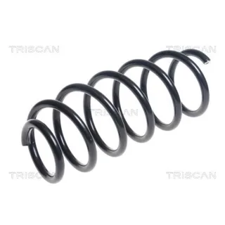 Triscan Feder vorne Chevrolet Trax Opel Mokka 875024199