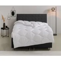 OTTO home Microfaserbettdecke Angly, Bettdecke 135x200 cm und 155x220 cm, Füllung: Polyester, Bezug: Polyester, Bettdecken, Sommer, Winter, Decke, Allergiker geeignet (Hausstaub)
