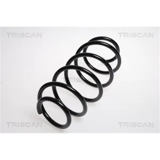 Triscan Feder vorne Ford Fusion 875016047