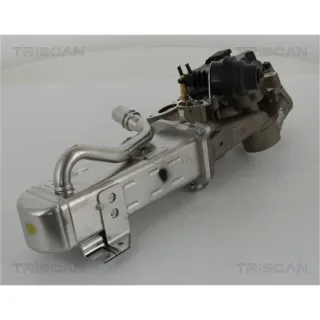 Triscan AGR-Ventil Citroen C5 Peugeot 508 2,2