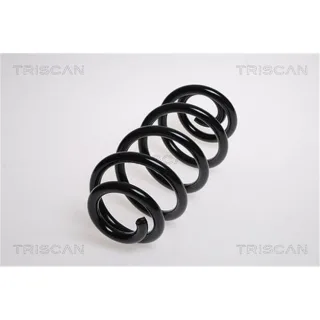 Triscan Feder hinten Audi A6 C6 875029184