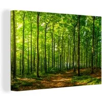 OneMillionCanvasses® Leinwandbild Wald - Baum - Pflanzen, Fotodruck (1 St), Leinwand Bilder Klein, Wand Dekoration Aesthetic 30x20 cm