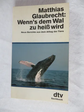 Wenn's dem Wal zu heiß wird