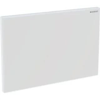 Geberit Chromstahl Abdeckplatte zu Hygienespülung 241595001