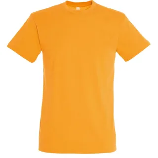 SOLS Herren Regent T-Shirt mit kurzen Ärmeln (Apricot)