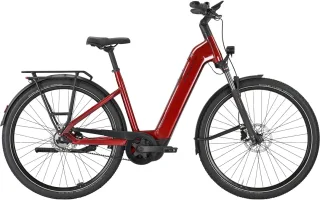 E-Bike  - Pegasus Premio Evo 5F Belt Wave rot . 2025   / Akku: 600 Wh  - 50 cm